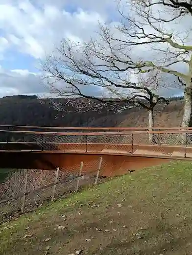 Belgian Ardennes forest landscape Semois valley