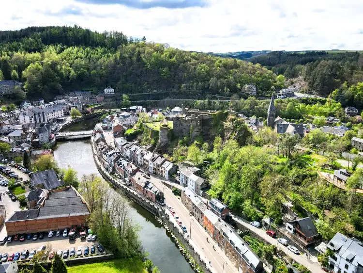 Sangliers dans le Parc à Gibier de La Roche-en-Ardenne