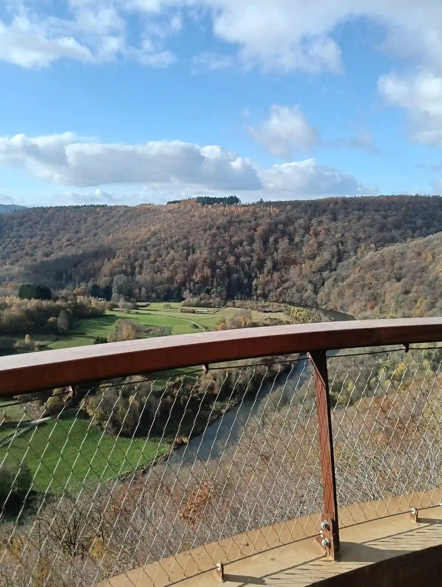 Photo 2 du point de vue du Jambon de la Semois