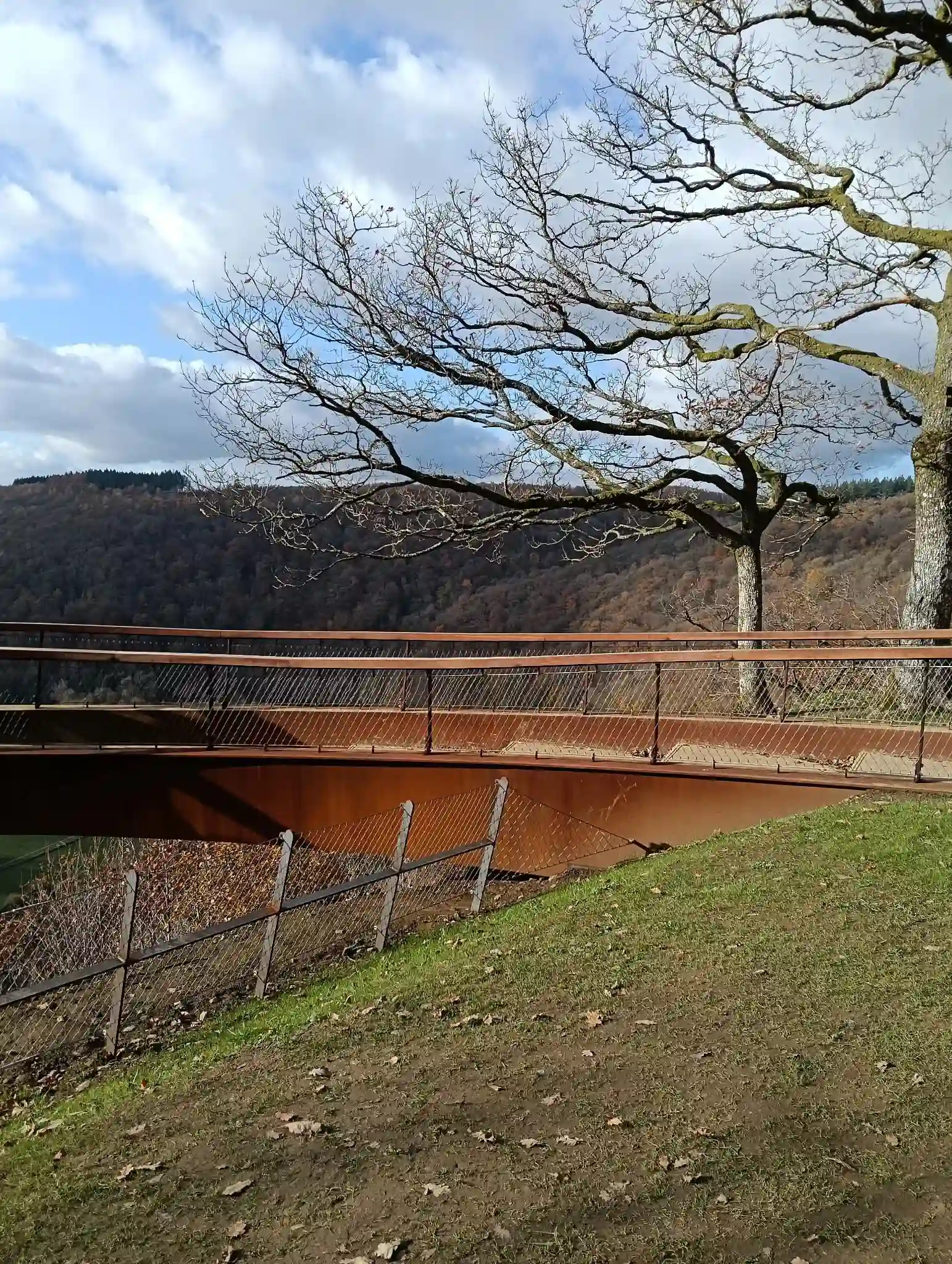 Photo 3 du point de vue du Jambon de la Semois