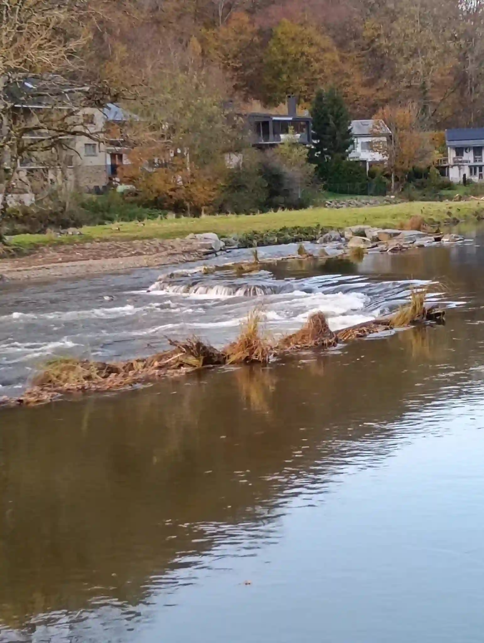 Photo 4 du point de vue du Jambon de la Semois