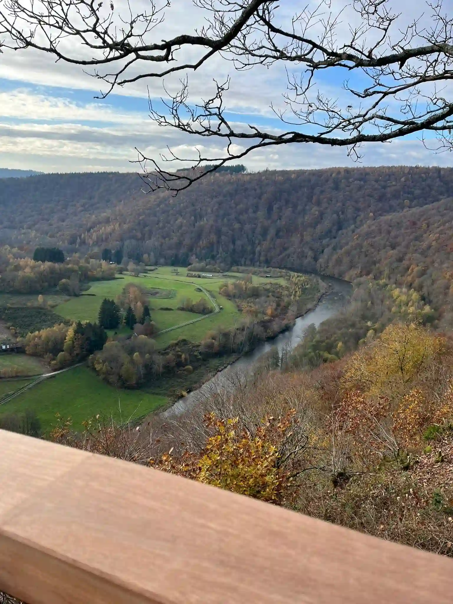 Photo 7 du point de vue du Jambon de la Semois