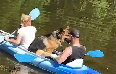 balades en famille dans les ardenne belge- parfait pour ce détendre entre ami ou famille