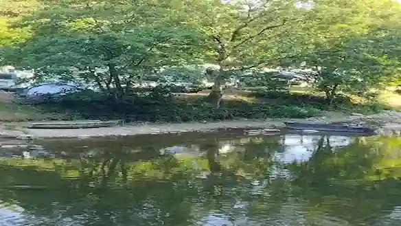 Accueil L'Ami Pierre