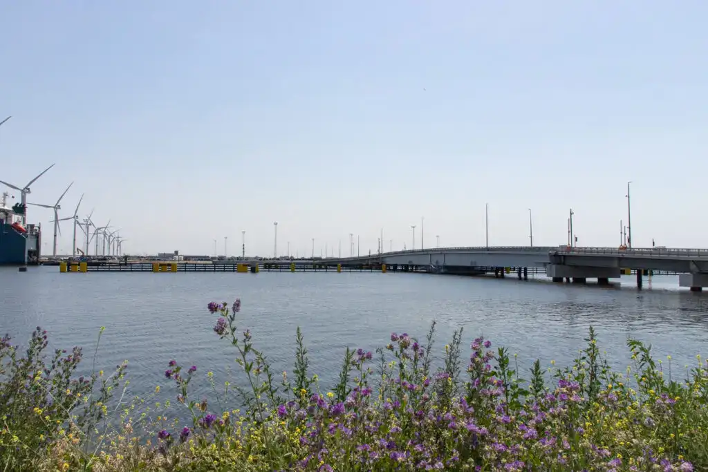 Wandelaars die het landschap bewonderen