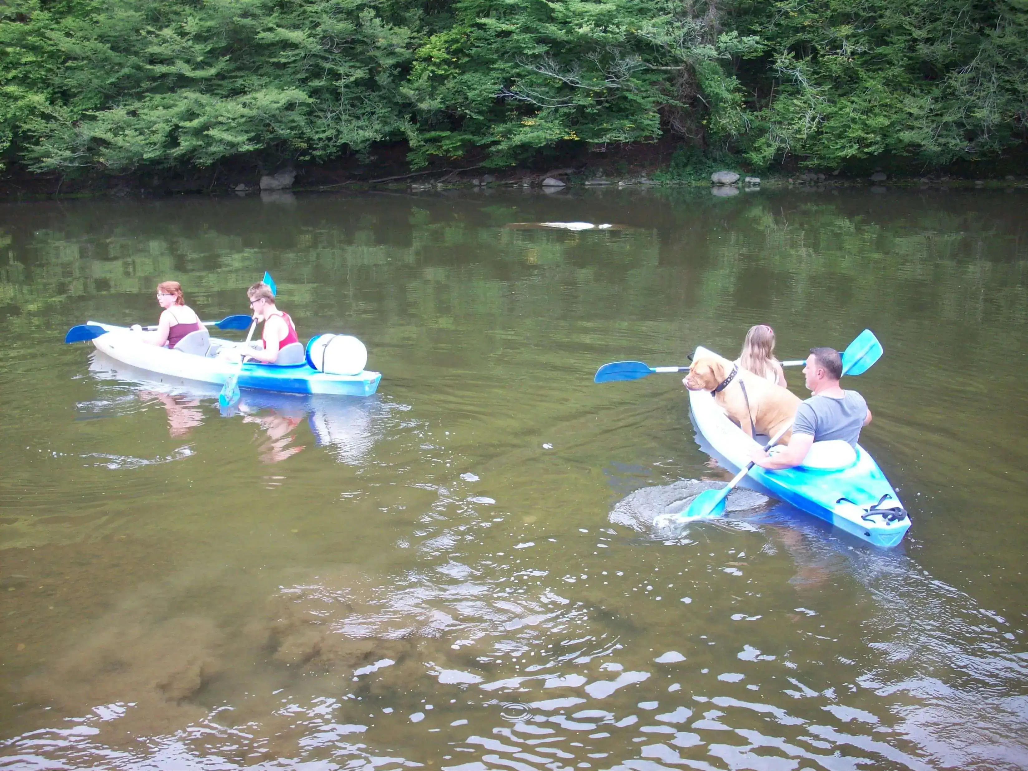 Groep in kajak in de Gorges du Verdon